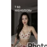 嘉義定點茶-T60/160/46/26/D