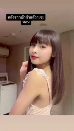 台北定點茶-太陽/155/42/22/B